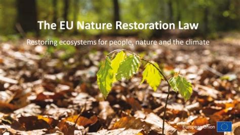 Approvata La Legge Europea Per Il Ripristino Della Natura – ALTURA